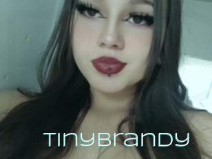 Tinybrandy