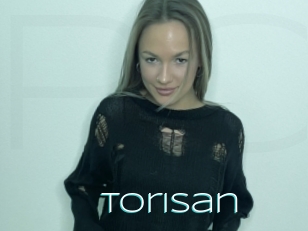 Torisan