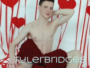 Tylerbridges