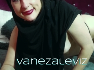 Vanezaleviz