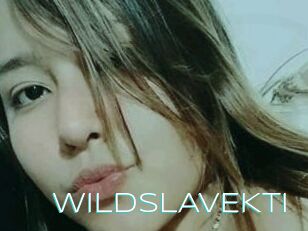 WILDSLAVEKTI