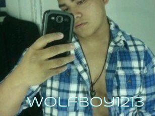 Wolfboy1213