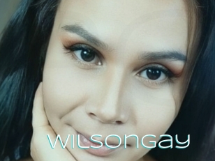 Wilsongay