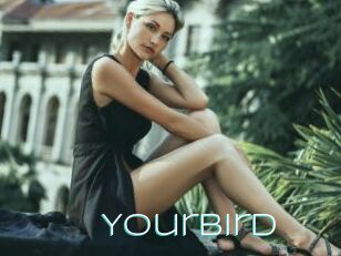 Yourbird