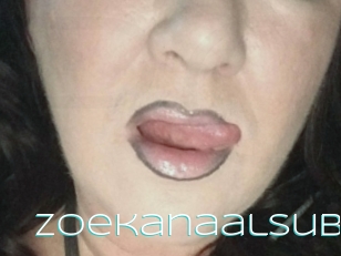 Zoekanaalsub